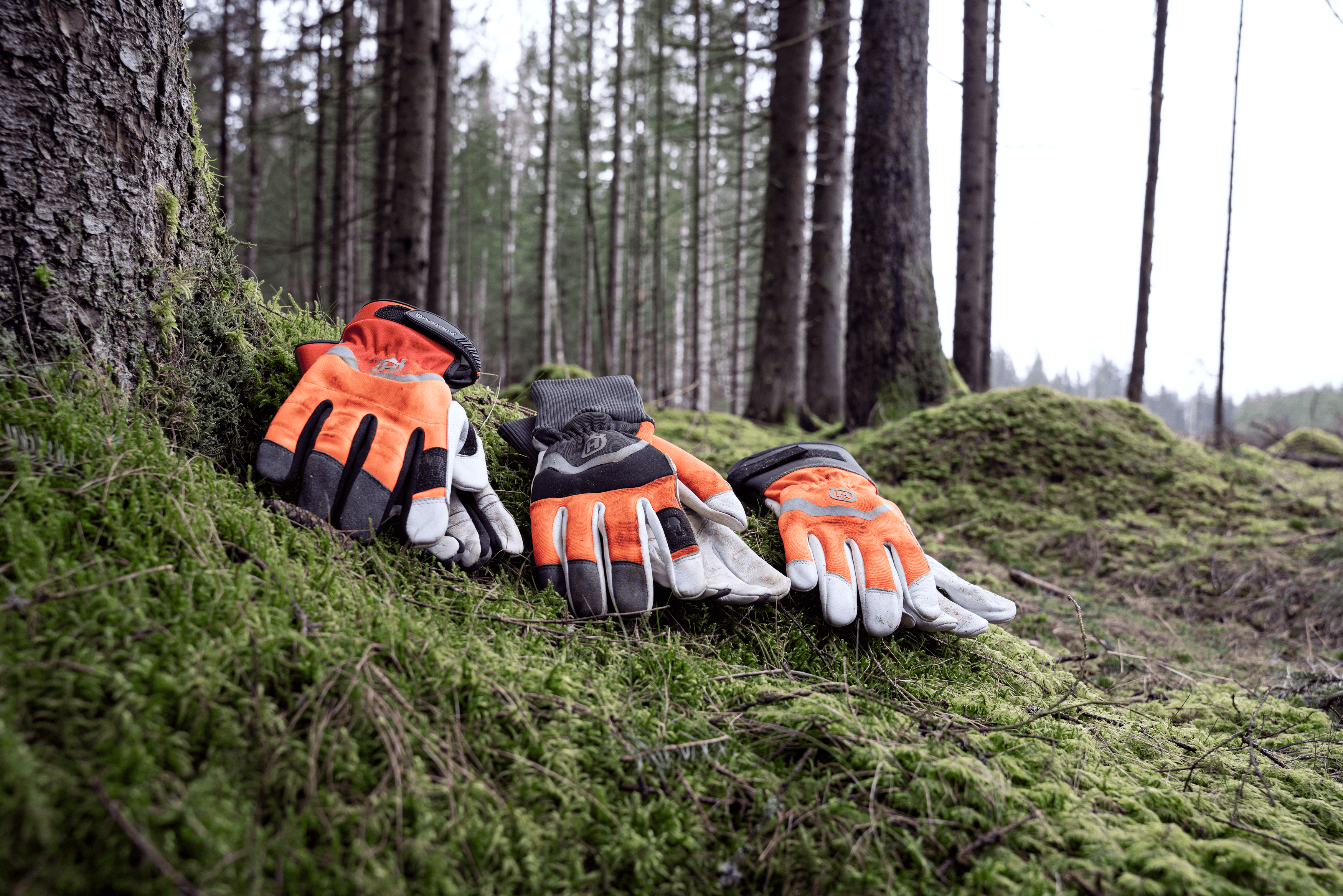 Classic Gloves image 1